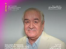 المخرج محمد عبد العزيز